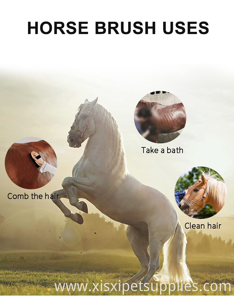 Factory Wholesale Custom Logo Horse Care Products Wooden Horse Cleaning Brush